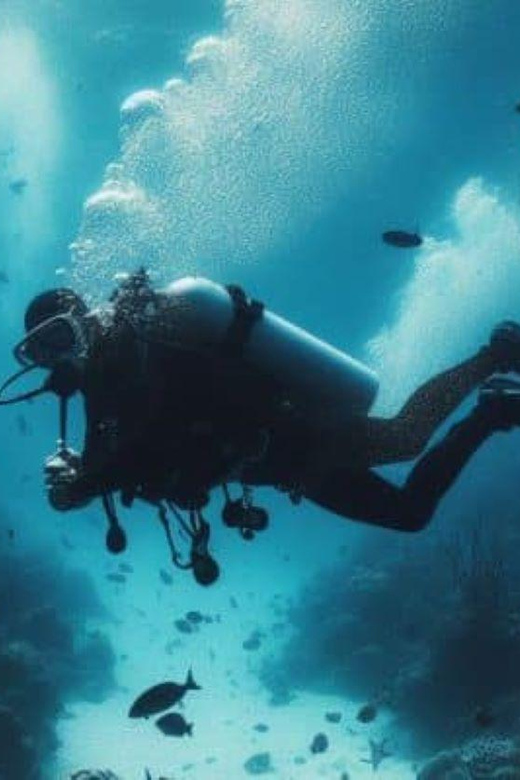 Playa Del Carmen: Cenote Angelita + Shallow Cenote Dive