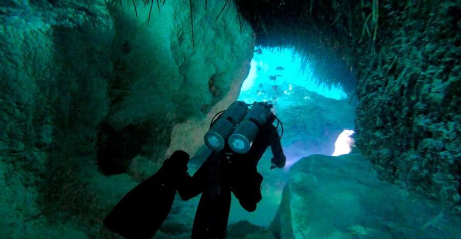 Playa Del Carmen: Cenote + Reef Diving in Riviera Maya