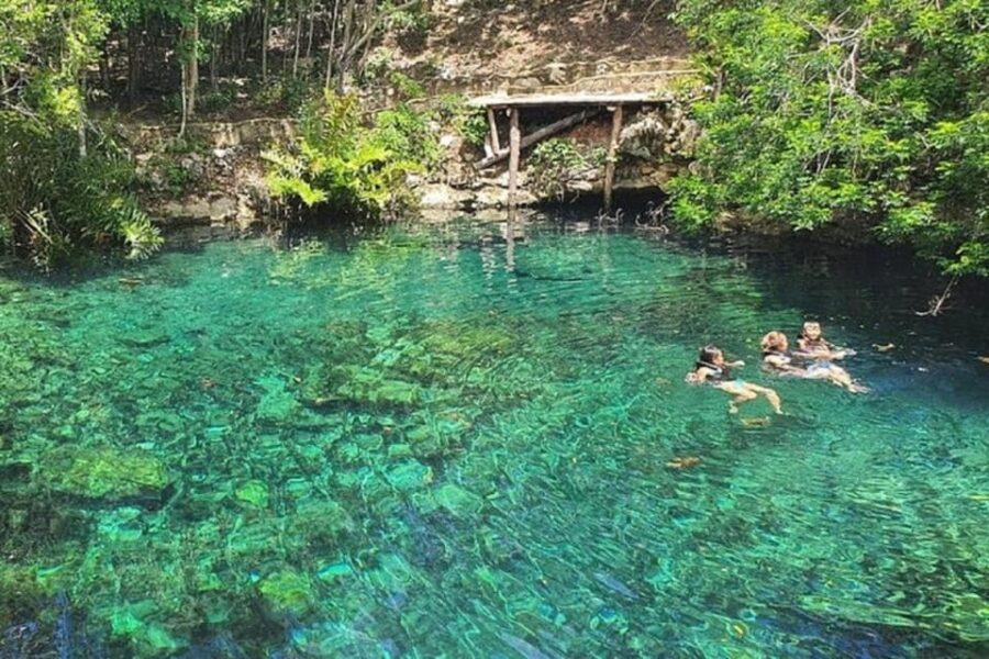 Playa Del Carmen: Cenotes Casa Tortugas Tour With Snorkeling