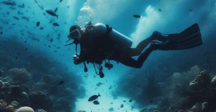 Playa Del Carmen: Diving the Pit and Dos Ojos