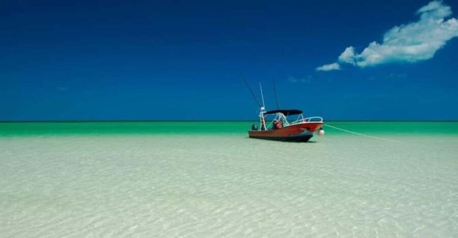 Playa Del Carmen: Holbox Island and Cenote Tour With Lunch