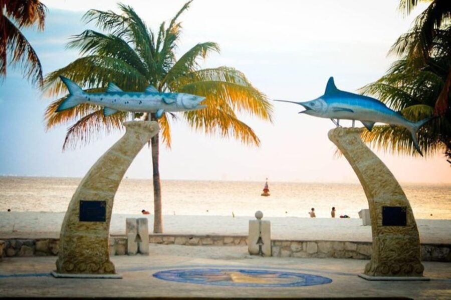 Playa Del Carmen: Isla Mujeres Unlimited Open Bar Catamaran