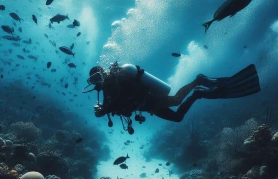 Playa Del Carmen: Scuba Diving at Playa Del Carmen Reef