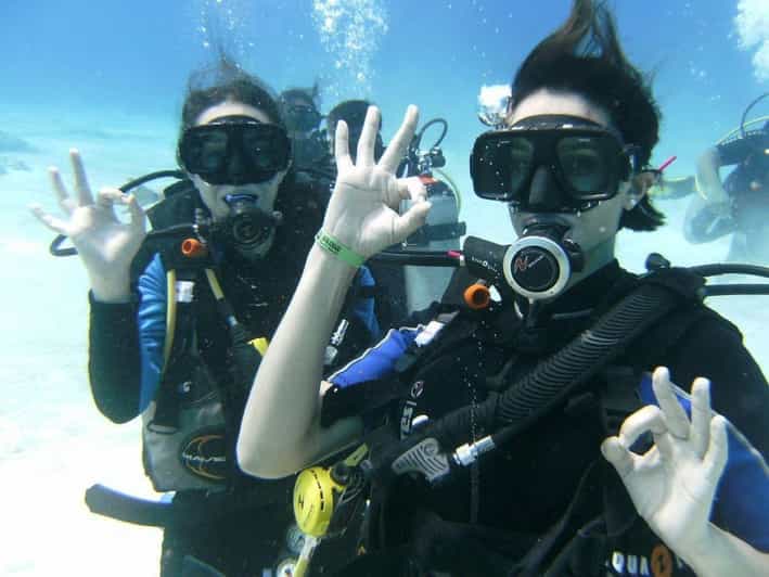 Playa Del Carmen: Scuba Diving With Bull Sharks