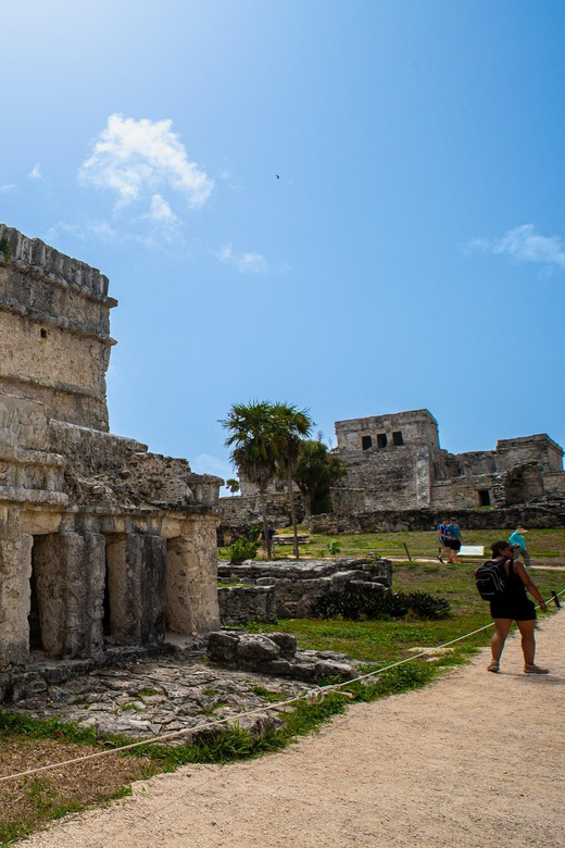 Playa Del Carmen: Tulum, Cenote, and Turtle Tour With Lunch