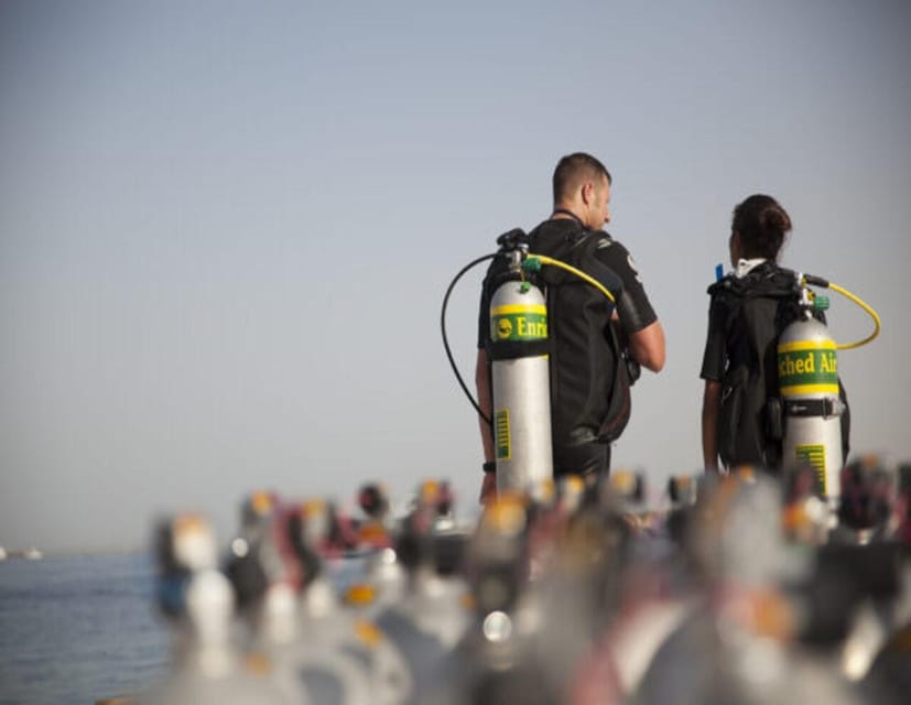 Playa: Night Dive - Activity Overview