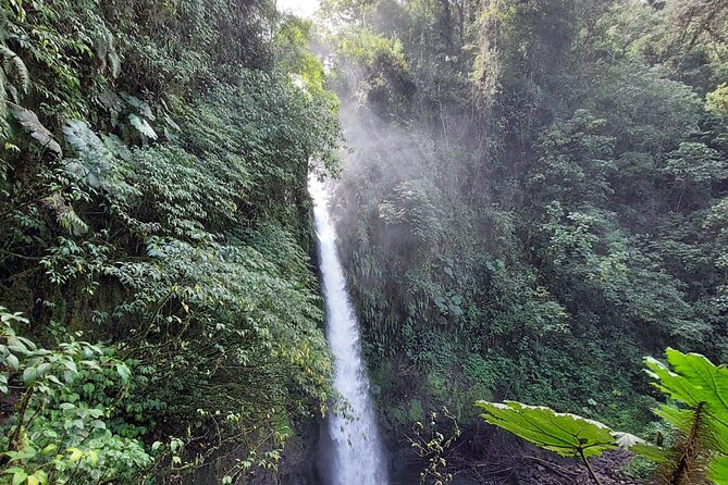 Poas Volcano and La Paz Waterfall Day Tour - Itinerary Details