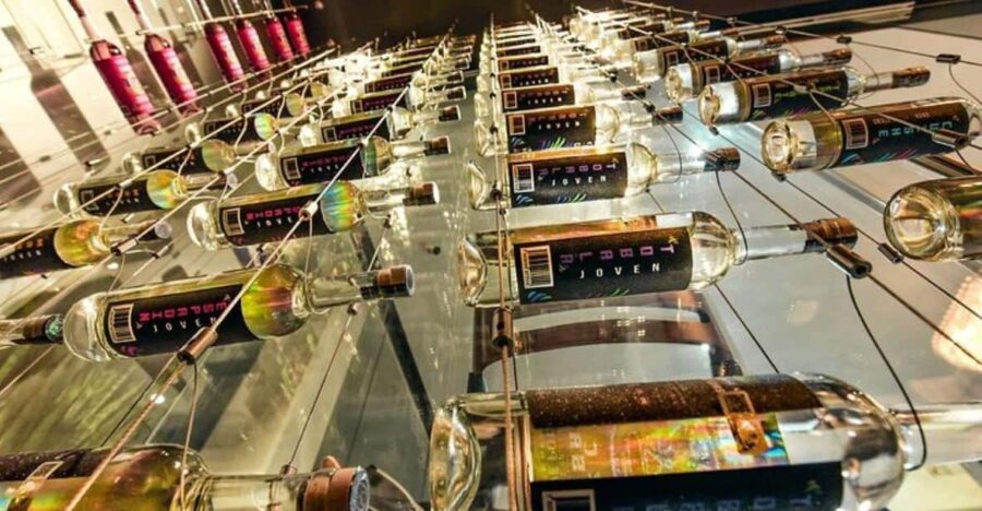 Polanco: Private Tacos and Wine Tour - Experience Highlights