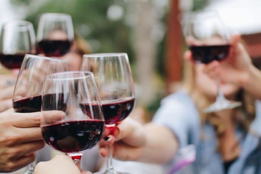 Polanco: Private Wine Tasting in With Cheese - Experience Overview