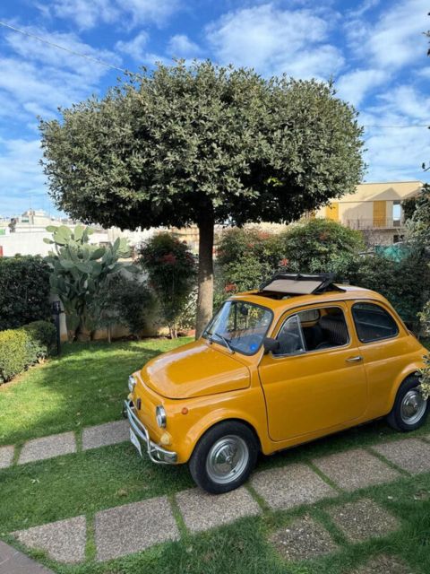 Polignano a Mare: Tour by Vintage Fiat 500 With Driver