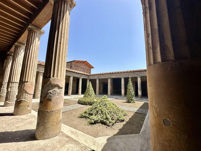 Pompeii: Guided Tour & Wine Tasting at Mt. Vesuvius