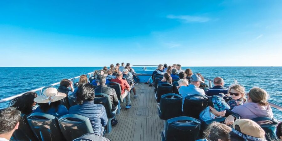 Portimão: Benagil Caves & Dolphin Watching With Biologist