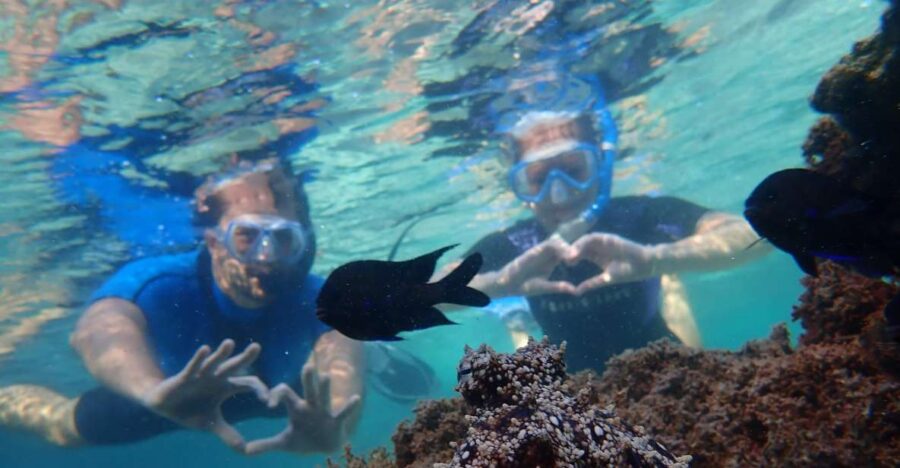 Porto Santo: Snorkeling Tour - Tour Overview