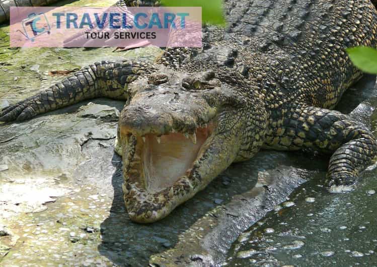 16 Best City Tours In Puerto Princesa