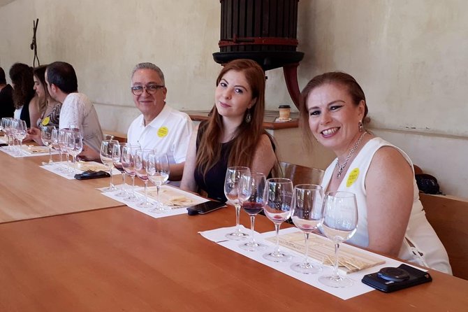 Premium Concha Y Toro Winery Tour With Wine and Cheese Tastings From Santiago - Meeting and Pickup Details