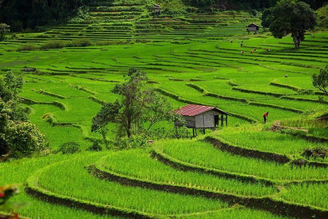 Private: 3 Days 2 Night Trip: Chaingmai-Chaingrai- the Golden Triangle Trip