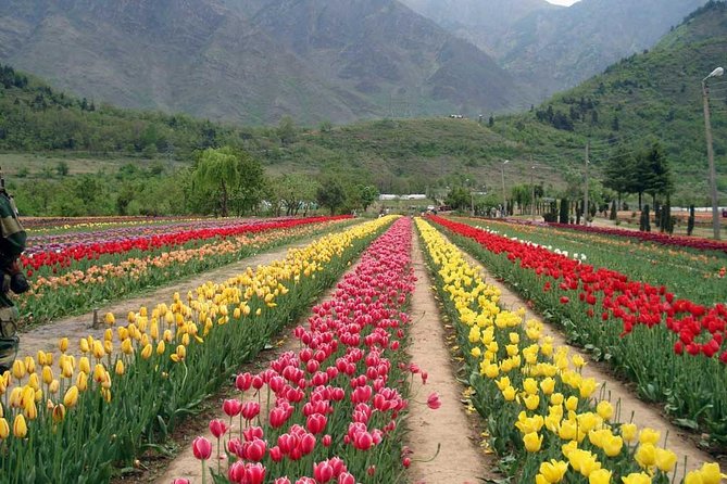 Private 6 Days Splendid Kashmir Tour