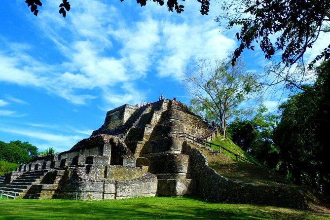 Private Altun Ha Maya Ruin & Belize City Adventure From Belize City - Tour Overview