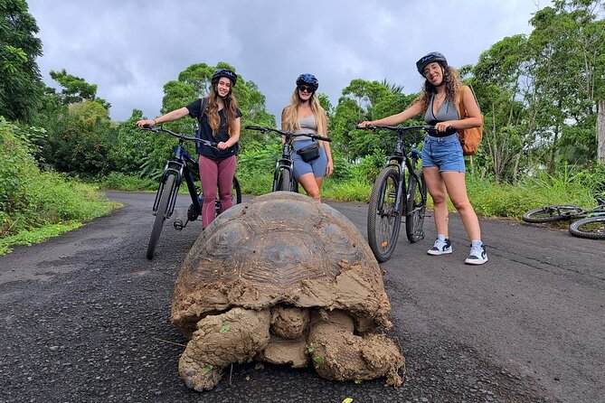 Private BiciTour Giant Tortoises and Lava Tunnel in Galapagos - Tour Overview