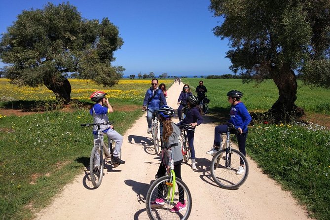 3 Best Bike Tours In Brindisi