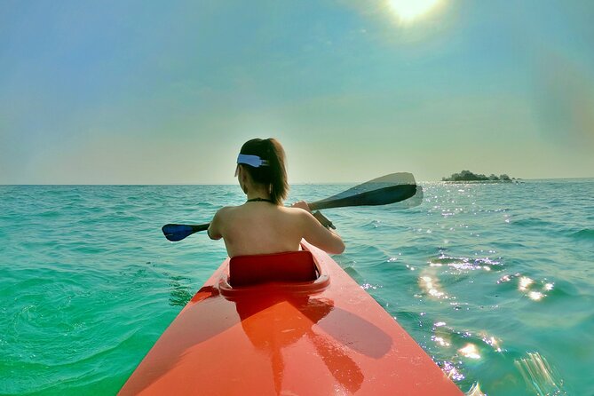 [Private Charter] SEA-KAYAKING Along HALF-MOON BAY & SUNSET DRIFTING & DINNER - Overview and Experience