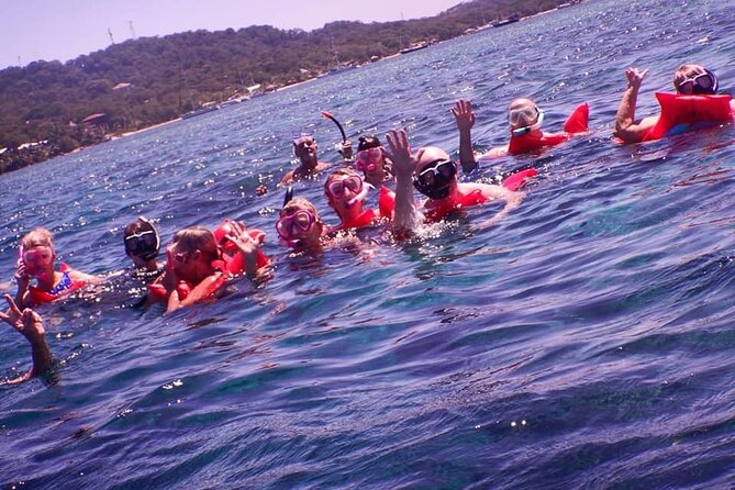 Private Chocolate & Rumfactory Tour Snorkeling CoralReef WestEnd