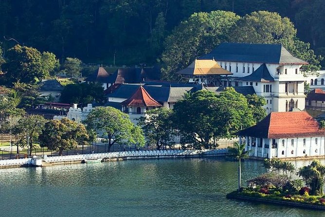 Private Day Tour Kandy to Nuwara Eliya Tea Plantation