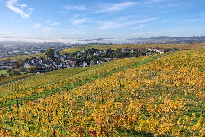 Private Day Trip to the Romantic Rhine Valley With River Cruise and Wine Tasting - Overview of the Tour