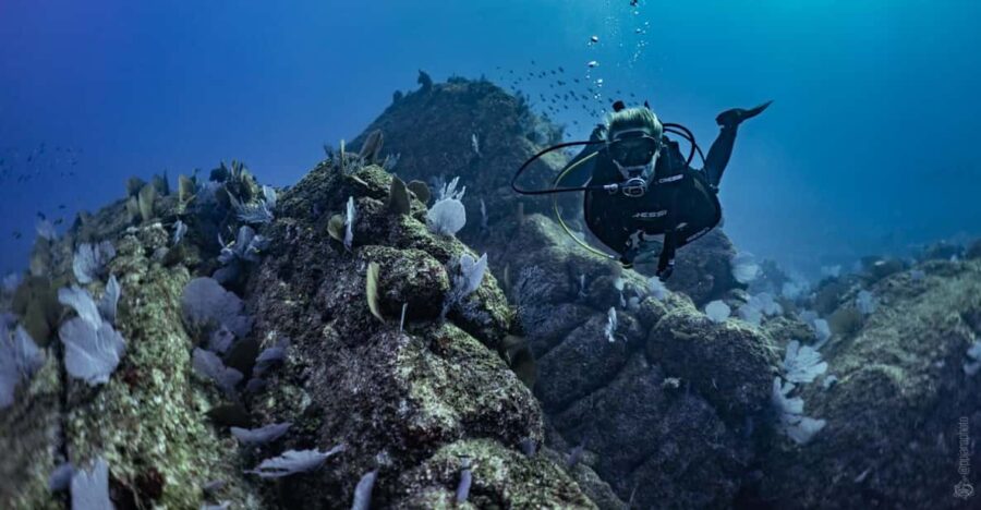 Private Discover Scuba Diving Class 1 - 2 People - Overview and Pricing