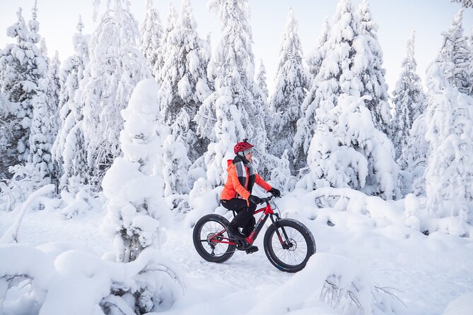 Private Electric Fat Bike Winter Tour in Rovaniemi - Tour Overview