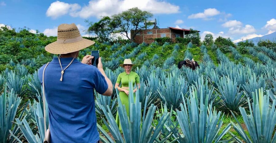 Private Full Day Tour of Tequila and Guachimontones - Tour Overview and Pricing