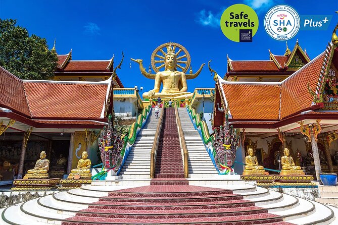 Private Group City Tour Around Koh Samui - Tour Overview