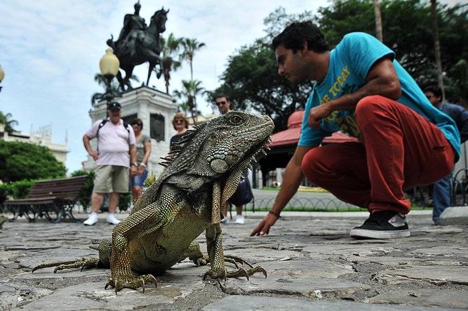 Private Guayaquil City Tour