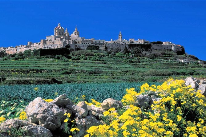 Private Guided Malta Shore Excursion With a Professional Guide and Transport - Tour Overview and Details