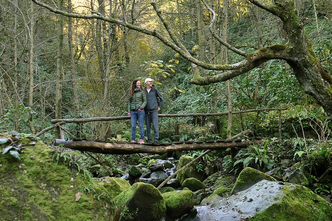 3 Best National Park Tours In Batumi