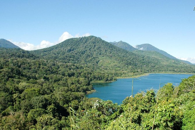 Private Jatiluwih Rice Terraces Heritage Site and Culture Tour