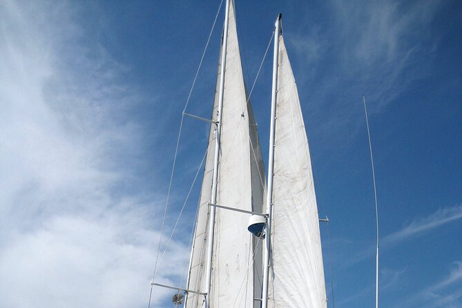 Private Morning Sail & Snorkel Tour