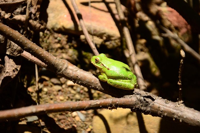 Private Palca Canyon Tour From La Paz With Optional Stop at Valle De Las Animas