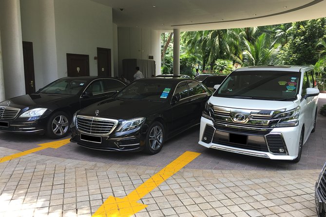 Private Singapore Departure Transfer: City to Airport or Cruise Terminal