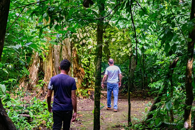 Private Sloth and Monkey Wildlife Tour - Tour Overview