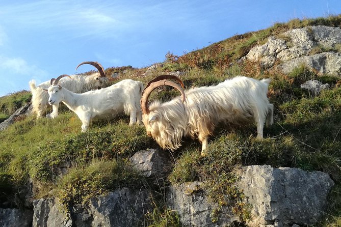 Private Snowdonia’s Mountains, Lakes & Mines Tour