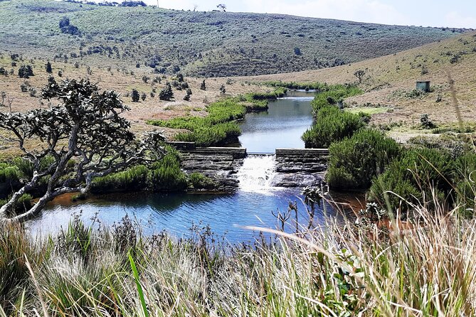 Private Tour in Horton Plains National Park ( World's End) With Pickup