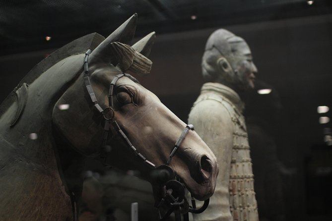 Private Tour in Terracotta Warriors Discovery