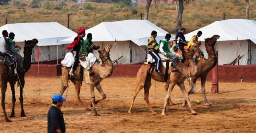 Private Tour : Jaisalmer City Tour and Desert Safari