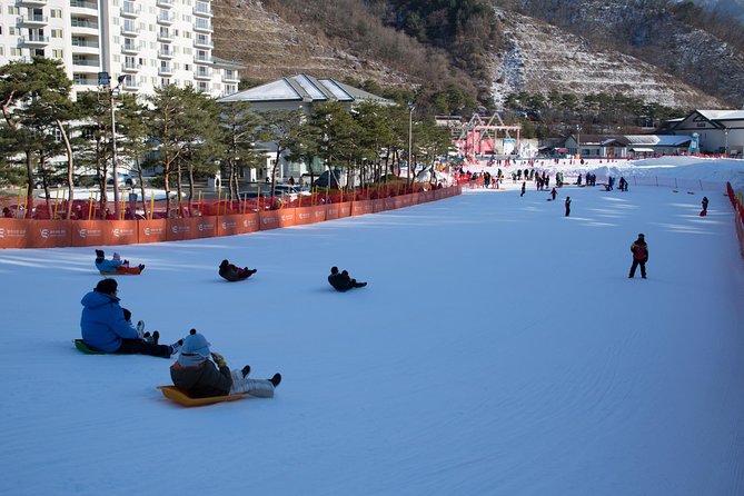 [Private Tour] Nami Island & Snow Viewing and Snow Sled (More Members Less Cost) - Tour Overview