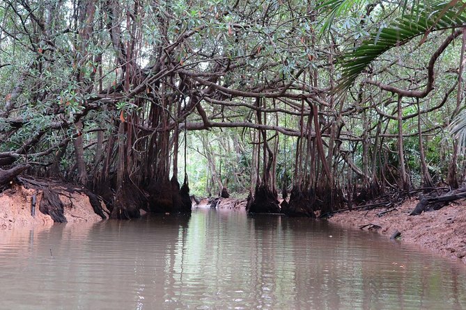 Private Tour: The Lost Zone Amazon & Old Town - Takuapa, Khao Lak - Overview of the Tour