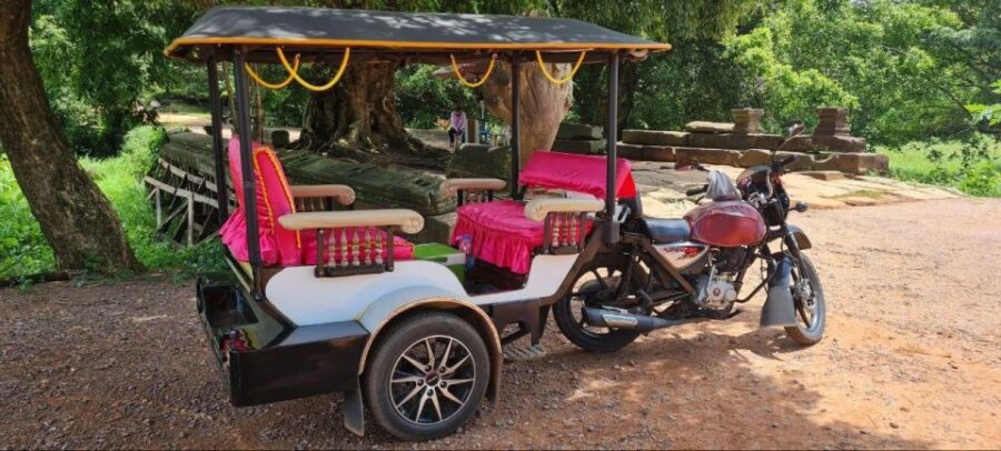 Private Tuk Tuk Experience to Angkor Temples