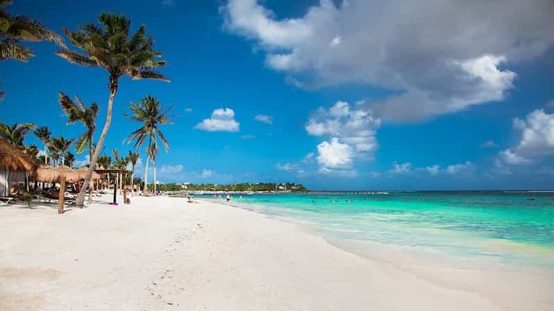 Private Tulum+ Turtles & Cenote & Lunch Transfer Included)