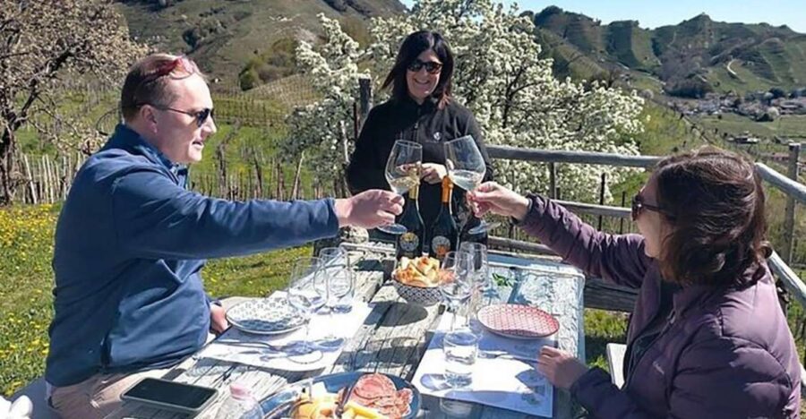 Prosecco Wine Tour. Full Day – 2 Wineries. From Venice
