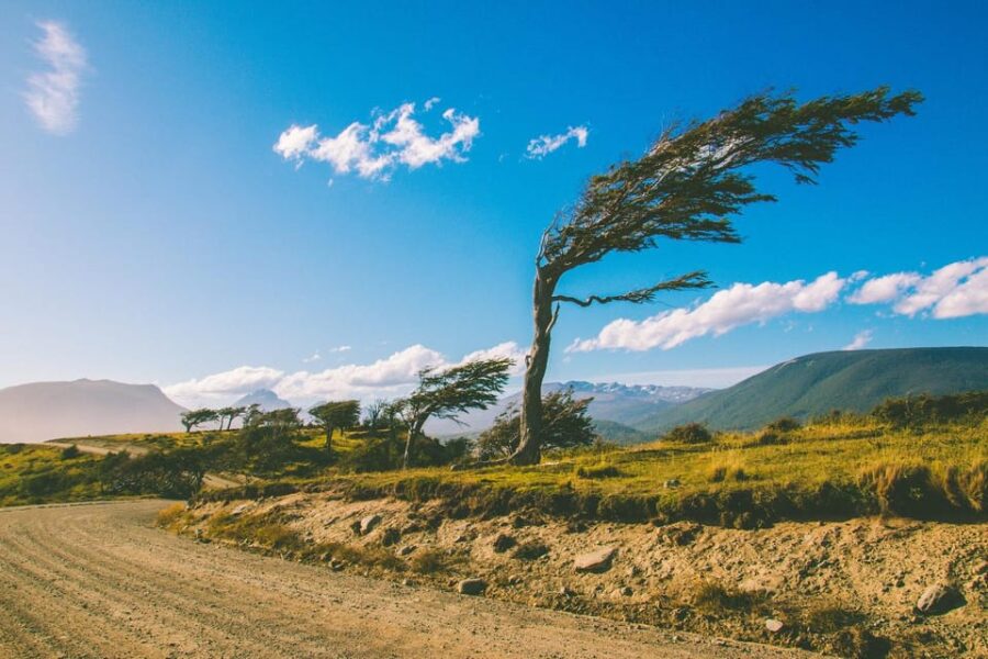 Puerto Almanza & Harberton Ranch: Private Tour